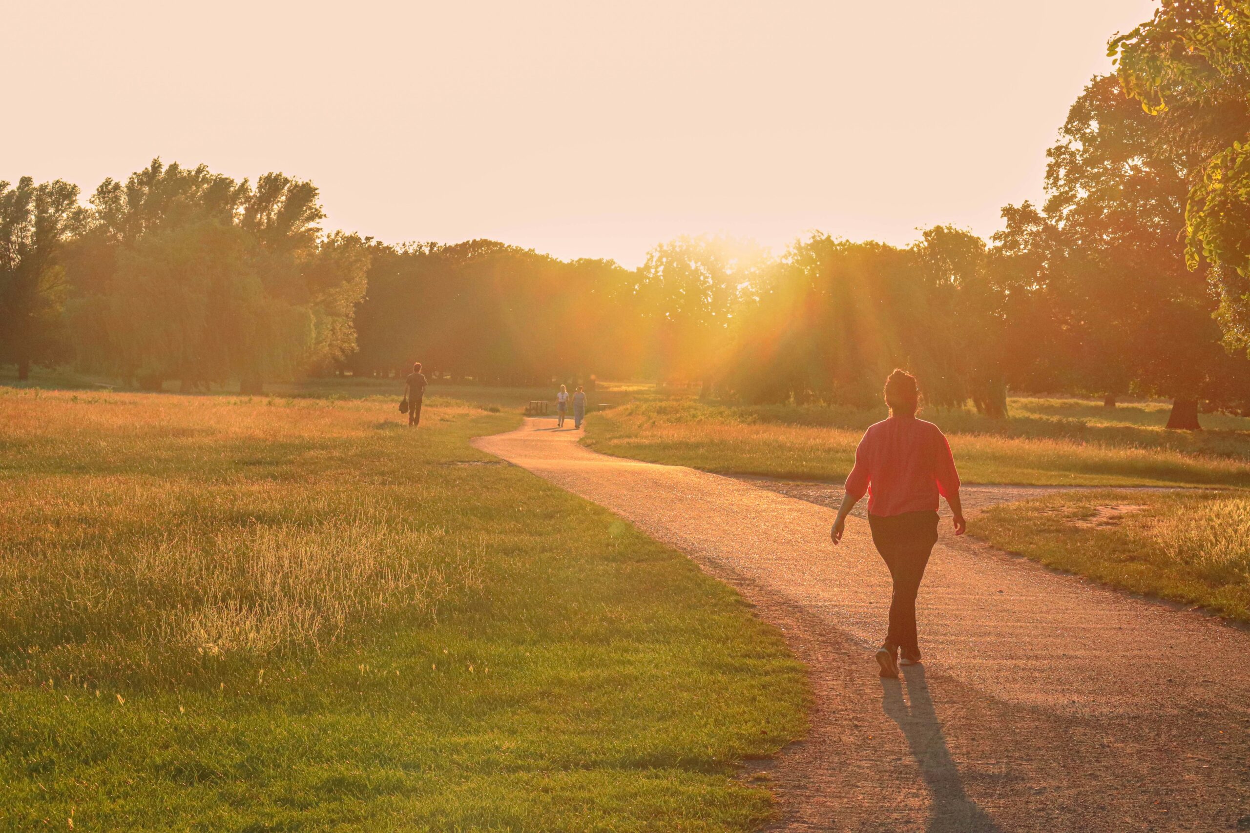 Health Over Wealth 7 Life-Changing Reasons Your Body Is the Greatest Investment