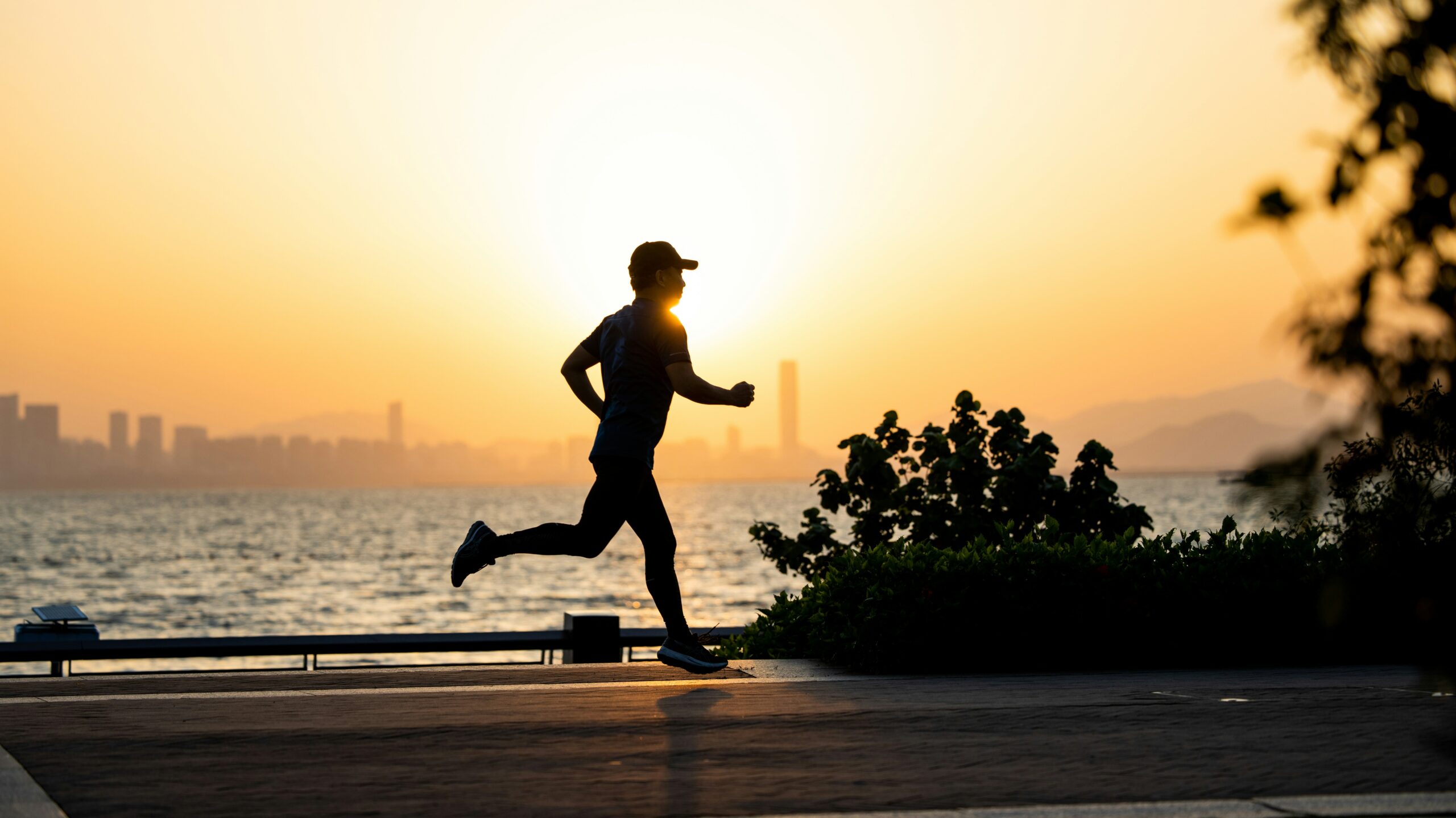 Health Revolution 5 Life-Changing Habits for Optimal Wellness