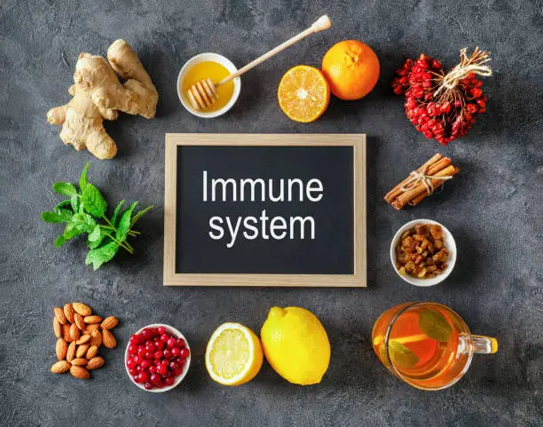 Immune System Support: 7 Proven Tips to Stay Healthy All Year